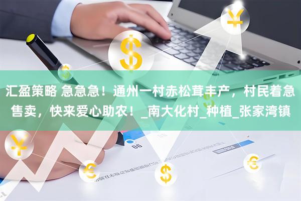 汇盈策略 急急急！通州一村赤松茸丰产，村民着急售卖，快来爱心助农！_南大化村_种植_张家湾镇
