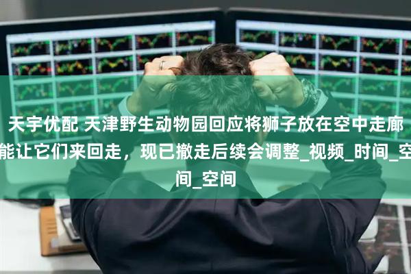 天宇优配 天津野生动物园回应将狮子放在空中走廊：能让它们来回走，现已撤走后续会调整_视频_时间_空间