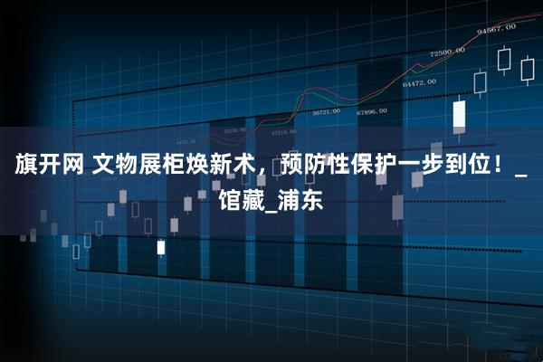 旗开网 文物展柜焕新术，预防性保护一步到位！_馆藏_浦东