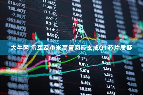 大牛网 雷军及小米高管回应玄戒O1芯片质疑