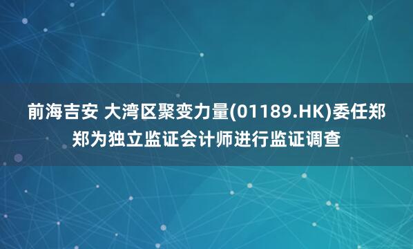 前海吉安 大湾区聚变力量(01189.HK)委任郑郑为独立监证会计师进行监证调查