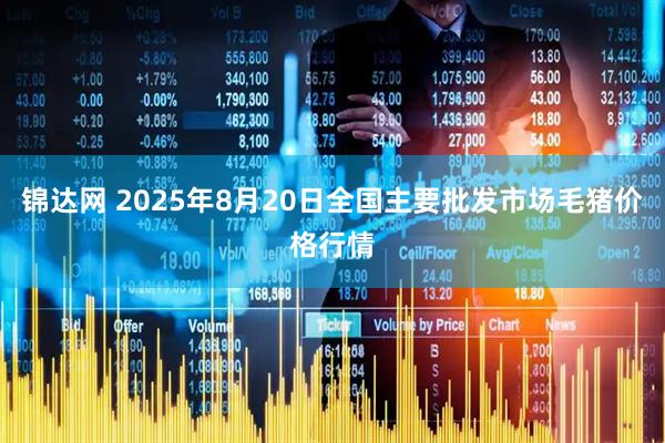锦达网 2025年8月20日全国主要批发市场毛猪价格行情