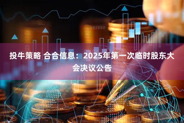 投牛策略 合合信息：2025年第一次临时股东大会决议公告