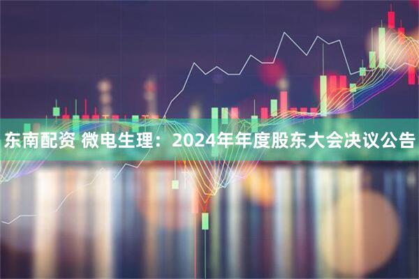 东南配资 微电生理：2024年年度股东大会决议公告