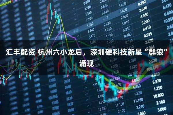 汇丰配资 杭州六小龙后，深圳硬科技新星“群狼”涌现
