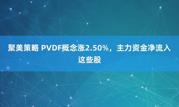 聚美策略 PVDF概念涨2.50%,主力资金净流入这些股