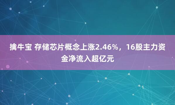 擒牛宝 存储芯片概念上涨2.46%,16股主力资金净流入超亿元